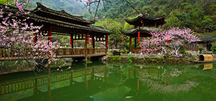 千界-旅游景區